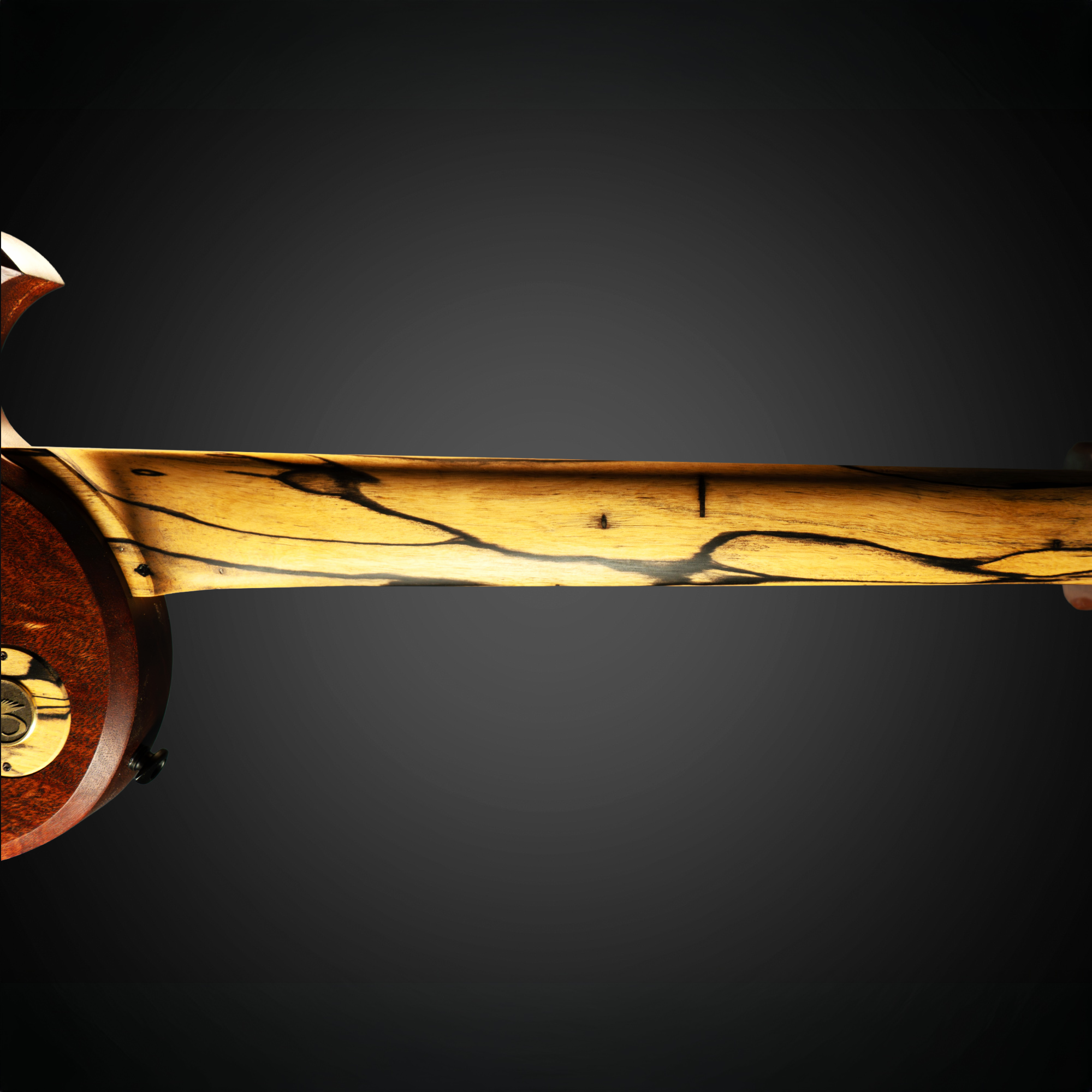 Ebony guitar neck