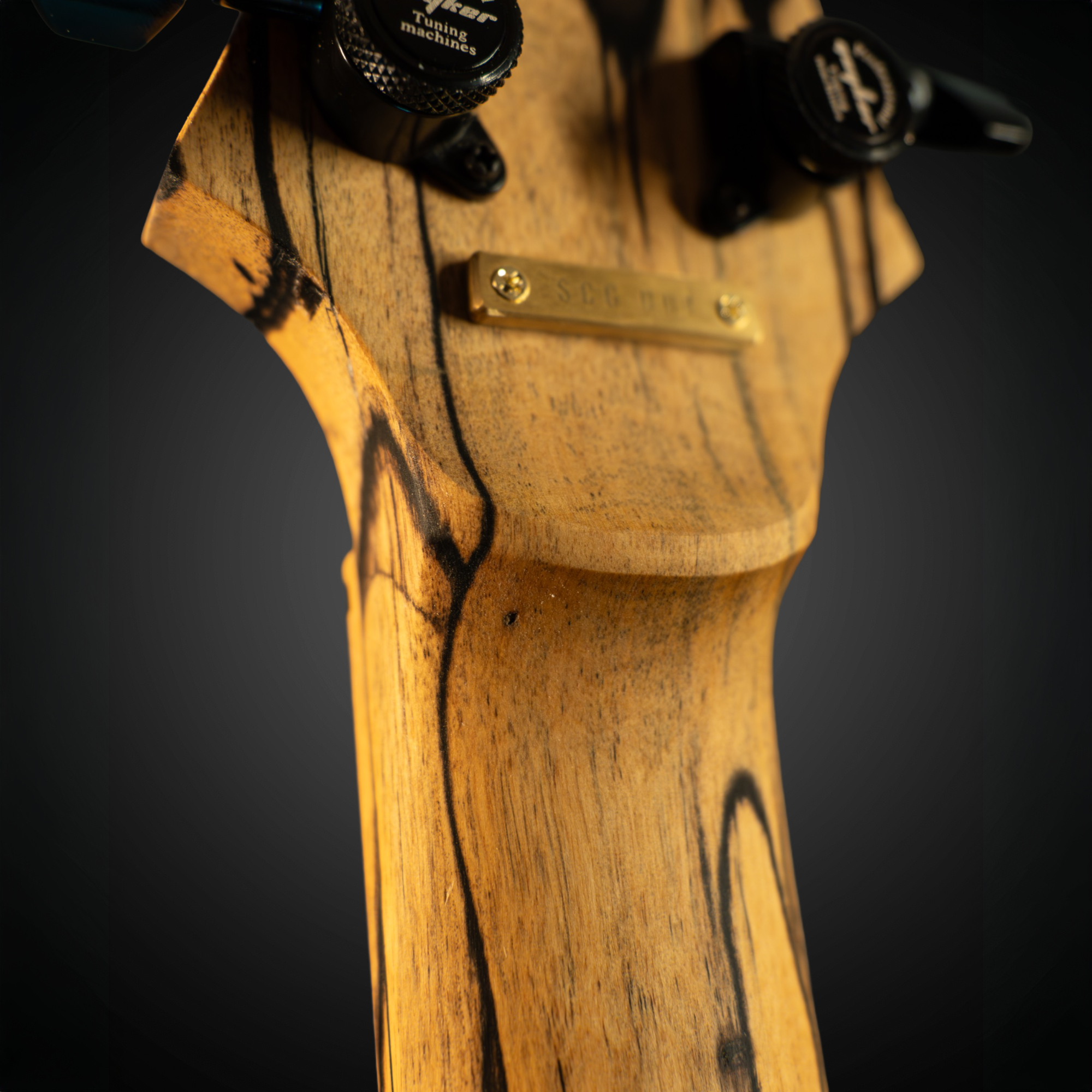 electric guitar volute