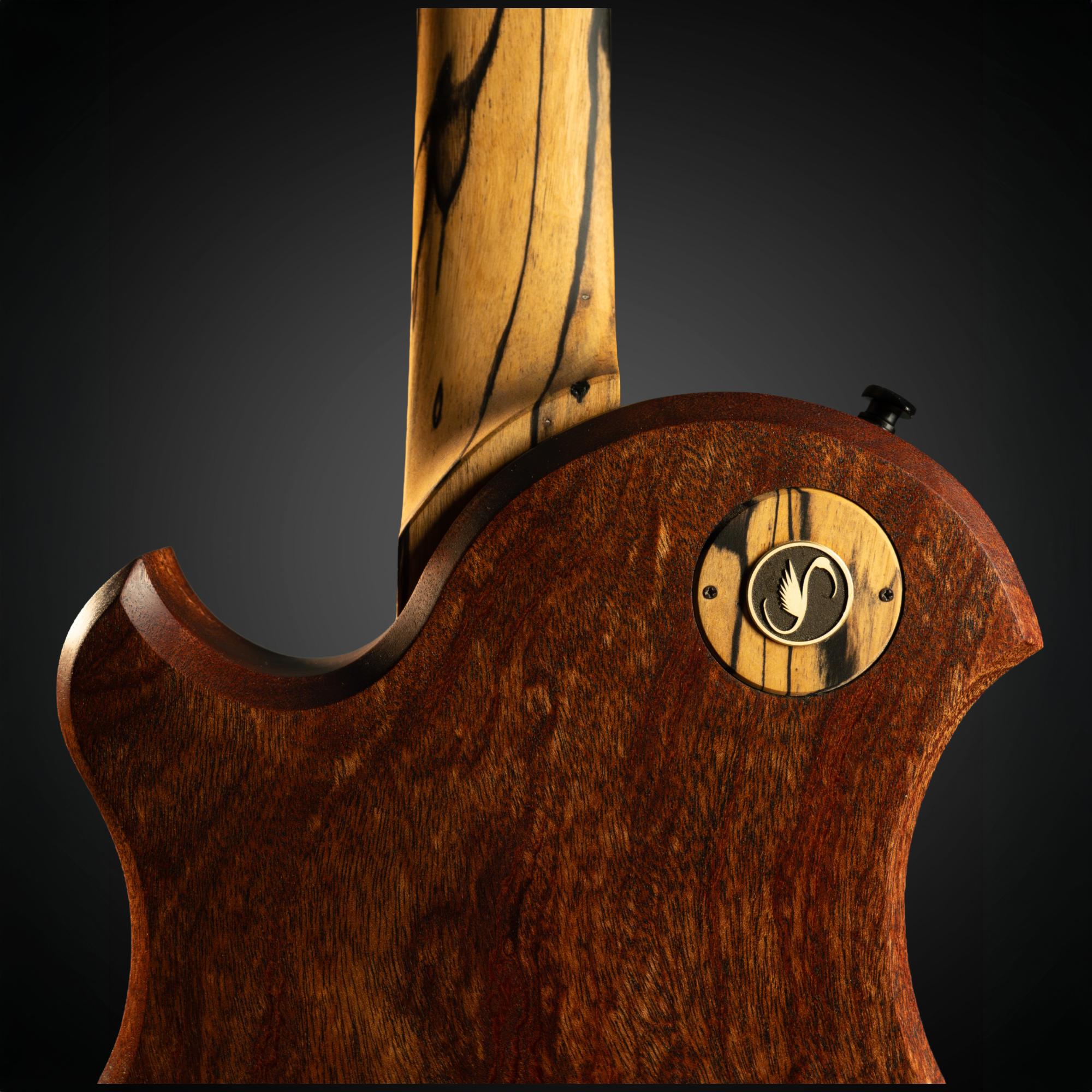 expensive custom guitar