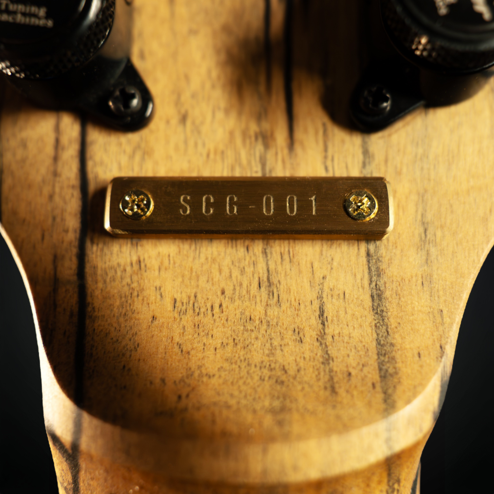custom electric guitar