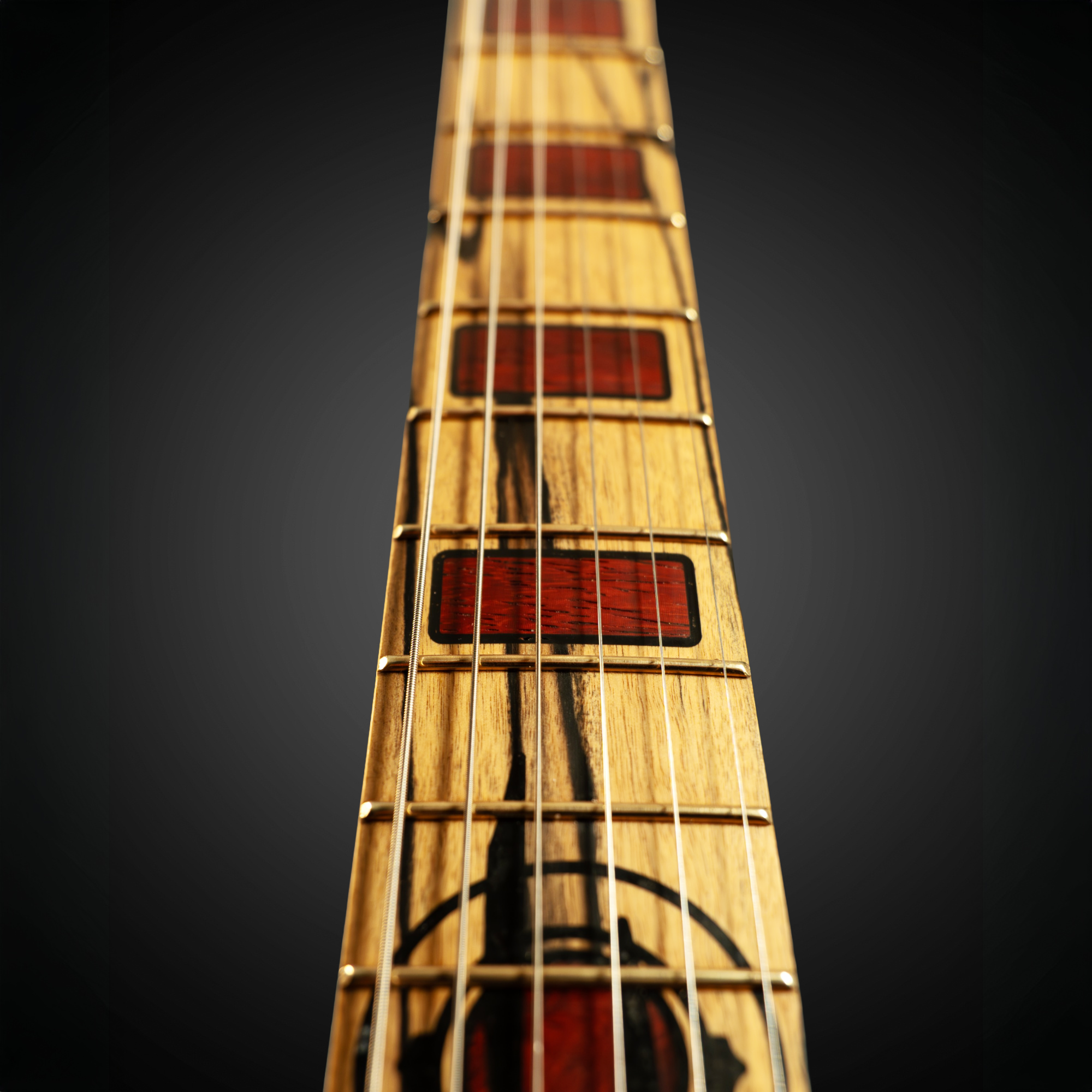 black and white ebony fingerboard