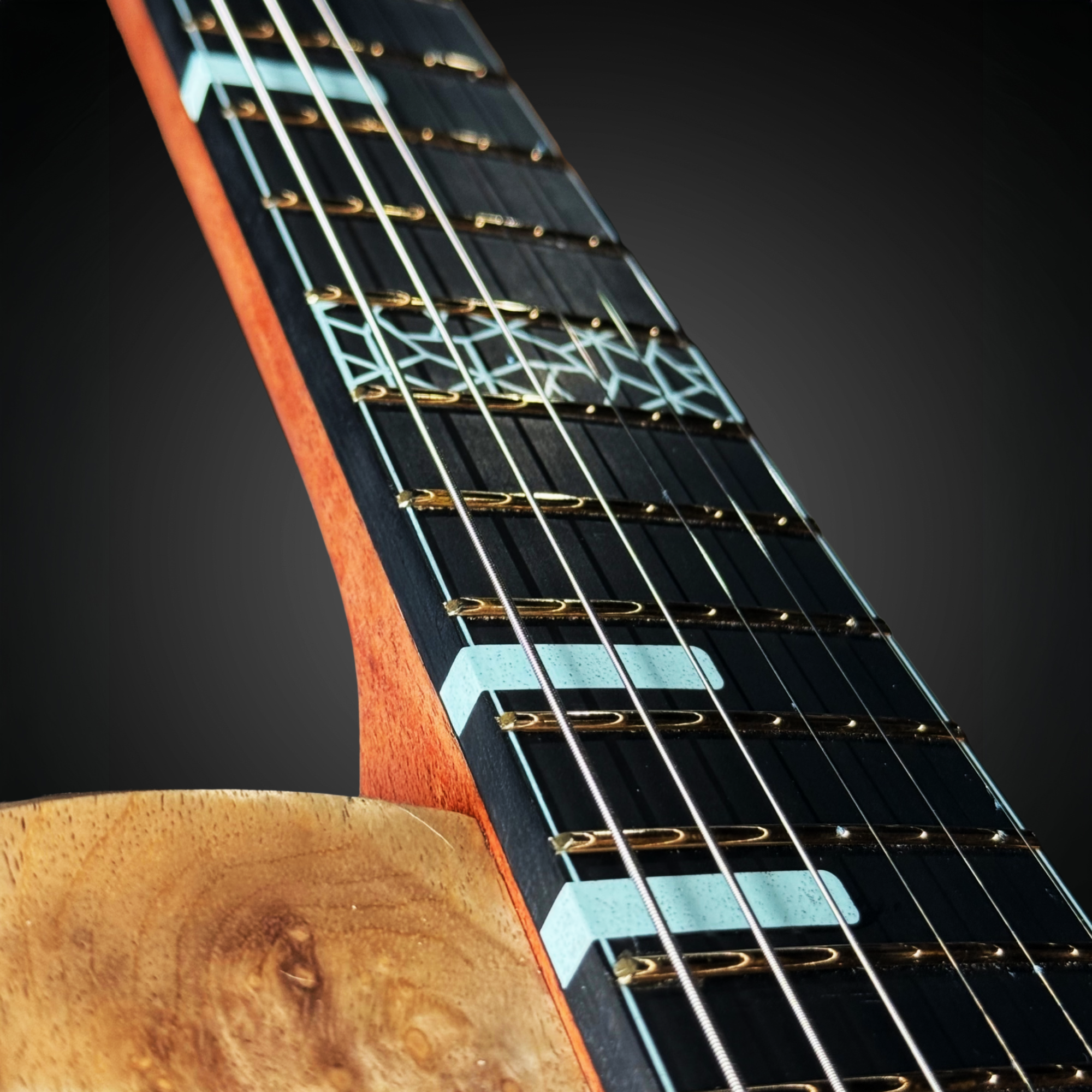 Close-up of a guitar neck and fretboard