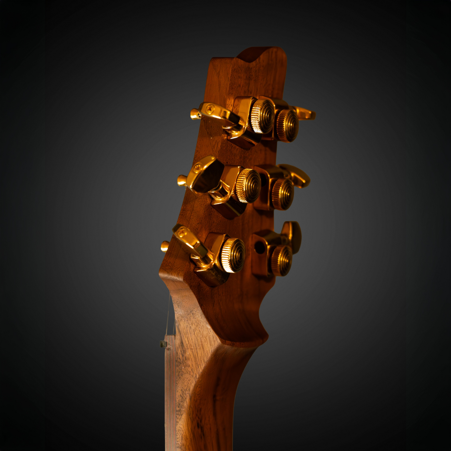 Paperback - The Paper Guitar